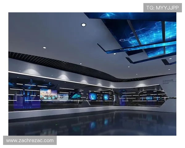 深入分析开云Kaiyun官网平台的安全性与数据保护机制