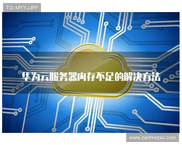 云开网站登录遇到问题怎么办？常见登录故障排查与解决方案全攻略